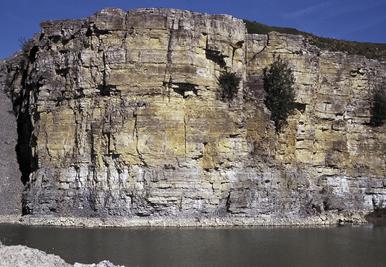 Quaderkalk Formation Bettenfeld